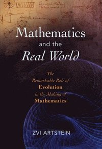 bokomslag Mathematics and the Real World