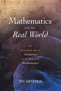 bokomslag Mathematics and the Real World