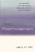 bokomslag Deep Postmodernism
