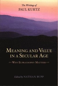 bokomslag Meaning and Value in a Secular Age