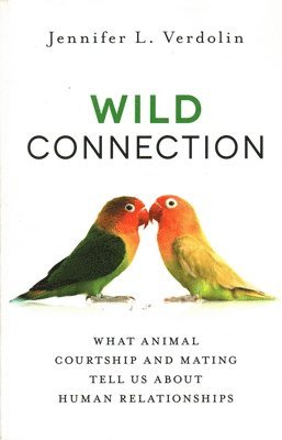 Wild Connection 1