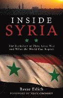 bokomslag Inside Syria
