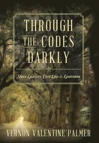 bokomslag Through the Codes Darkly