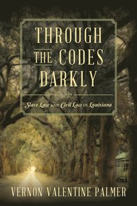 bokomslag Through the Codes Darkly