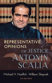 bokomslag Representative Opinions of Justice Antonin Scalia
