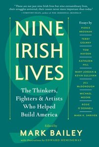 bokomslag Nine Irish Lives
