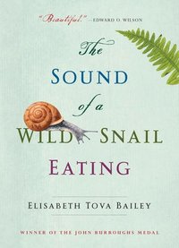 bokomslag The Sound of a Wild Snail Eating