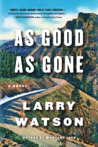 bokomslag As good as gone - a novel