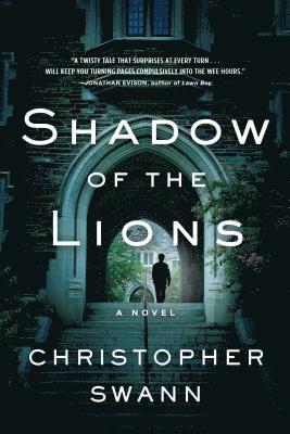 Shadow of the Lions