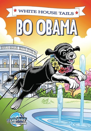 Paul J Salamoff, Darren G Davis - Bo Obama, Häftad