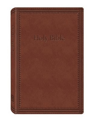 bokomslag Deluxe Gift & Award Bible-KJV