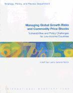 bokomslag Managing global growth risks and commodity price shocks