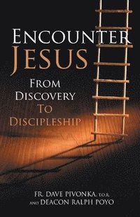 bokomslag Encounter Jesus