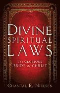 bokomslag Divine Spiritual Laws