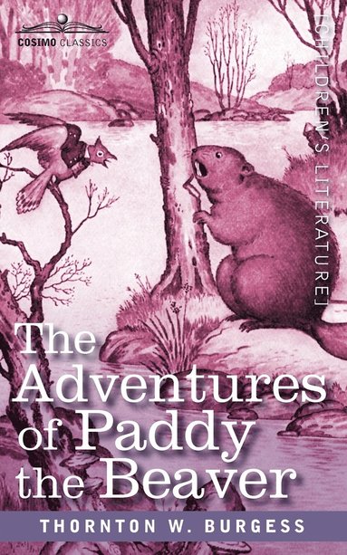 bokomslag The Adventures of Paddy the Beaver