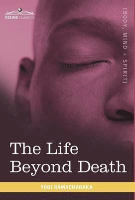 bokomslag The Life Beyond Death