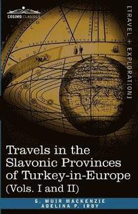 bokomslag Travels in the Slavonic Provinces of Turkey-In-Europe (Vols. I and II)