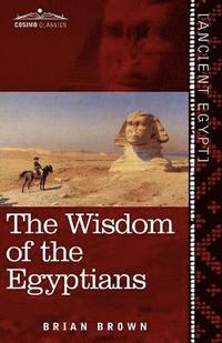 bokomslag The Wisdom of the Egyptians