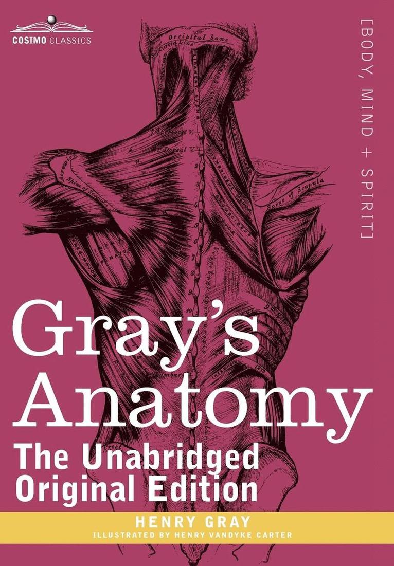 Gray's Anatomy 1