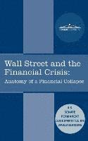 bokomslag Wall Street and the Financial Crisis: Anatomy of a Financial Collapse