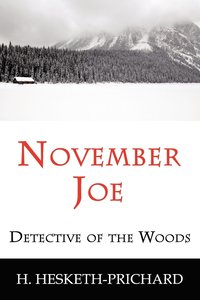 bokomslag November Joe