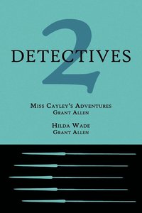 bokomslag 2 Detectives