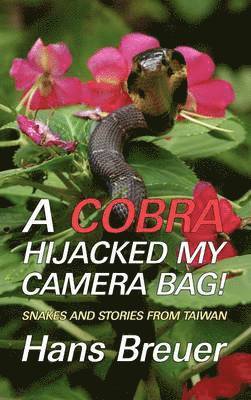 A Cobra Hijacked My Camera Bag! Snakes and Stories from Taiwan 1