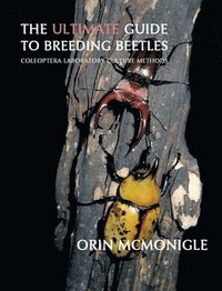 bokomslag The Ultimate Guide to Breeding Beetles