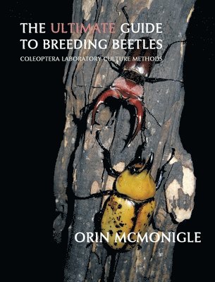 Ultimate Guide to Breeding Beetles