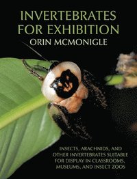 bokomslag Invertebrates for Exhibition