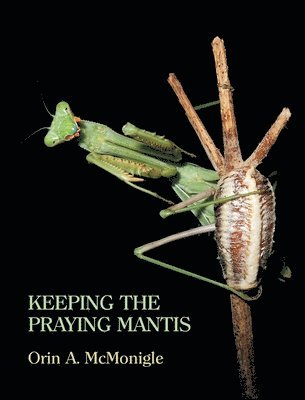 Orin McMonigle, Orin Mcmonigle - Keeping the Praying Mantis, Inbunden