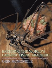 bokomslag Breeding the World's Largest Living Arachnid