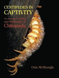 bokomslag Centipedes in Captivity