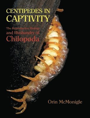bokomslag Centipedes in Captivity
