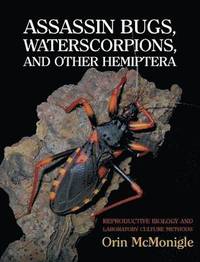 bokomslag Assassin Bugs, Waterscorpions, and Other Hemiptera