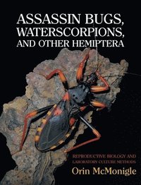bokomslag Assassin Bugs, Waterscorpions, and Other Hemiptera