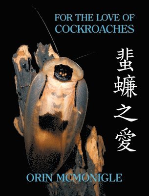 For the Love of Cockroaches 1