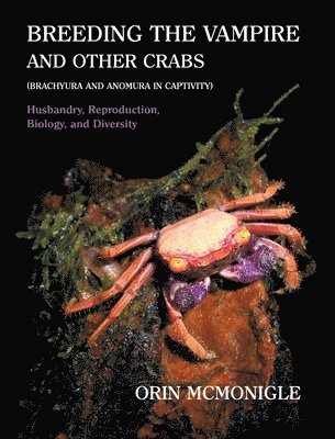 Breeding the Vampire and Other Crabs