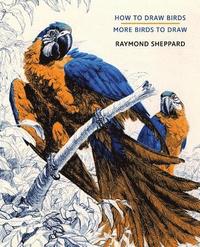 bokomslag How to Draw Birds / More Birds to Draw