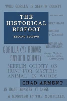 bokomslag Historical Bigfoot