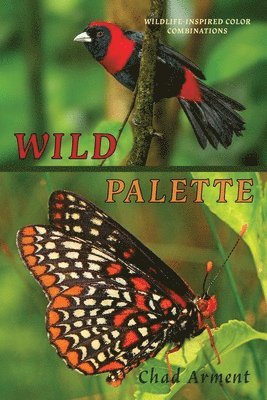 Wild Palette 1