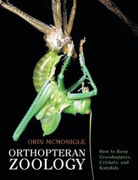 bokomslag Orthopteran Zoology