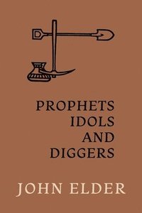 bokomslag Prophets, Idols and Diggers: Scientific Proof of Bible History