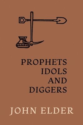 bokomslag Prophets, Idols and Diggers: Scientific Proof of Bible History