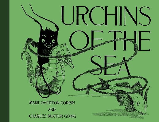 Urchins of the Sea