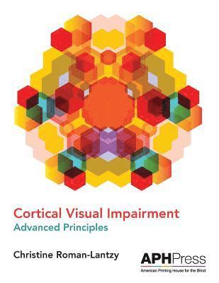 Christine Roman-Lantzy, Christine Roman-Lantzy - Cortical Visual Impairment Advanced Principles, Häftad