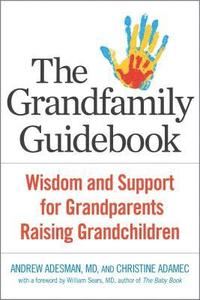 bokomslag Grandfamily Guidebook
