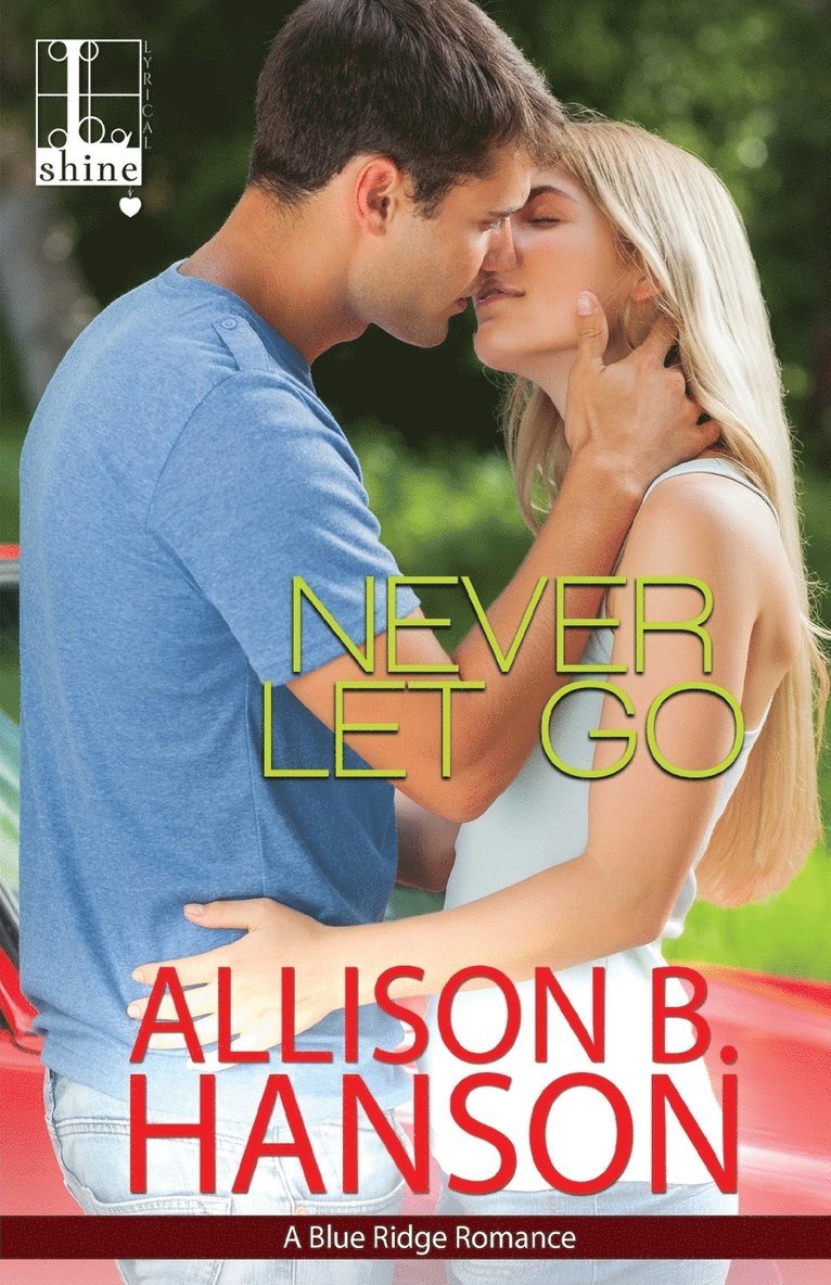 Allison B. Hanson - Never Let Go, Häftad
