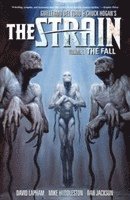 bokomslag The Strain Volume 3 The Fall