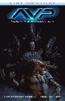 ALIEN VS PREDATOR FIRE & STONE